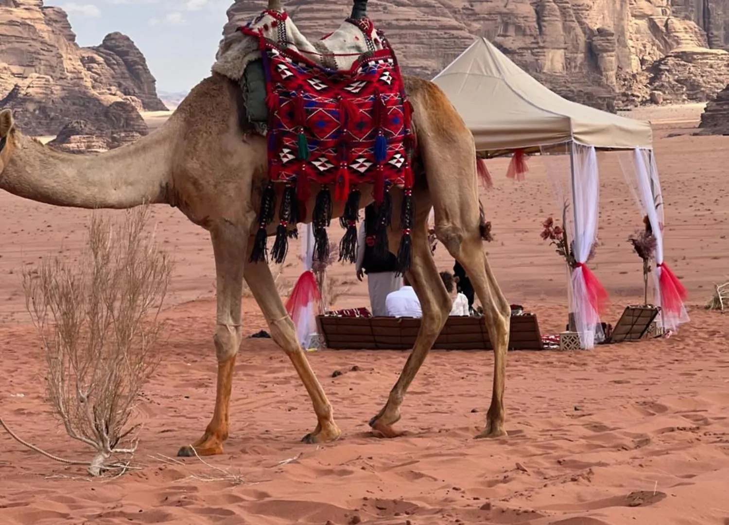 Lägenhet Moon Rum Camp Aqaba Jordanien