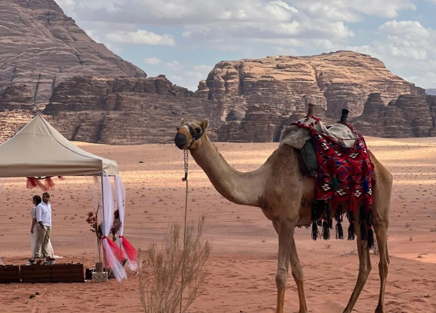 Moon Rum Camp Aqaba