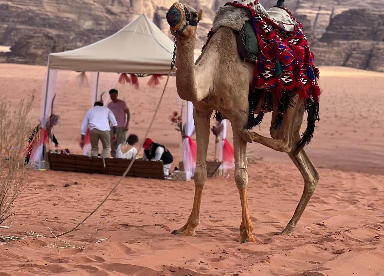 Lägenhet Moon Rum Camp Aqaba